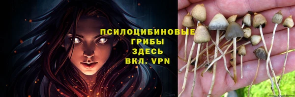 экстази Красноперекопск