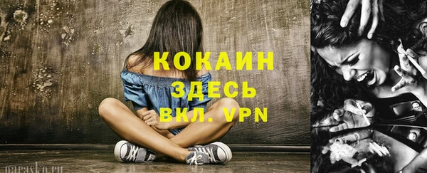 дмт Краснослободск