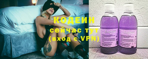 дмт Краснослободск
