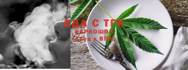 дмт Краснослободск