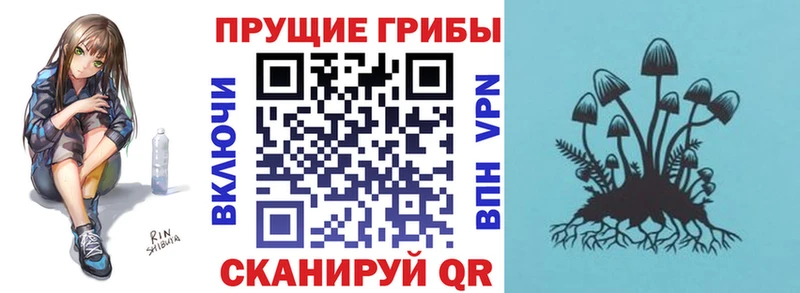 Купить закладки  Северобайкальск  Псилоцибиновые грибы GOLDEN TEACHER 